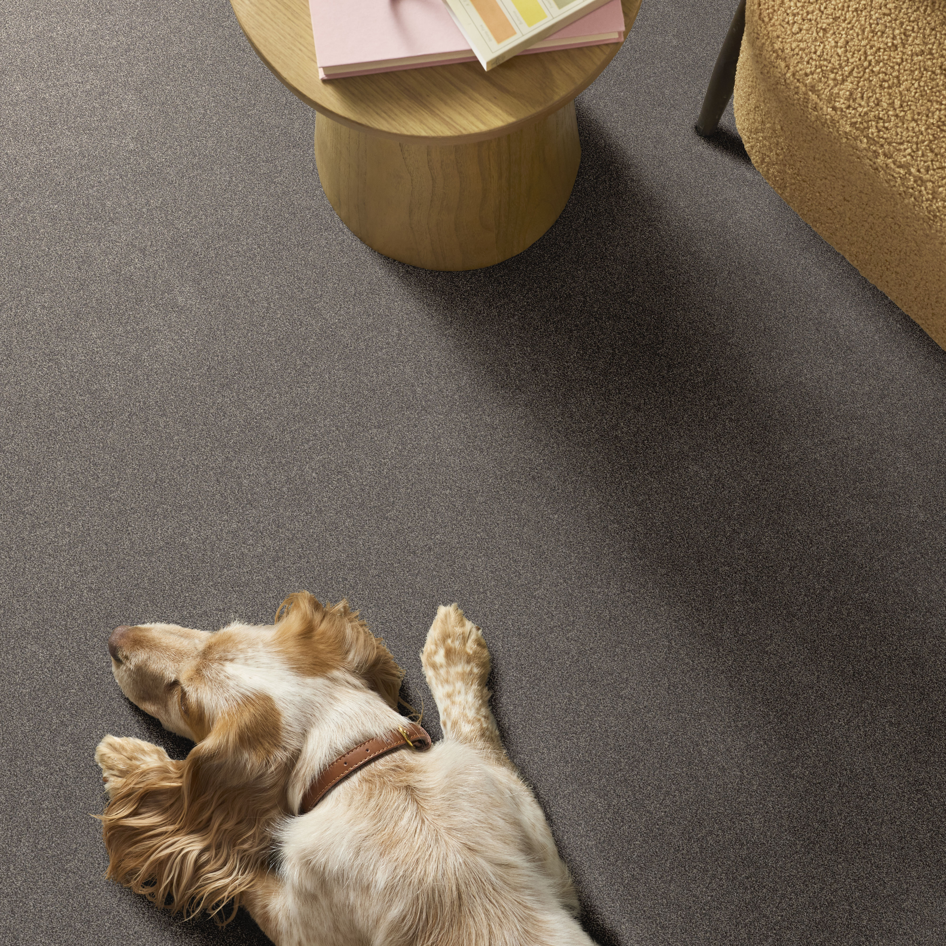Vivid Touch Ii - Shadows Carpet | Shaw Floors